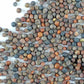 Organic Broccoli Sprouting Seeds by Handy Pantry | 4 oz. Resealable Bag | Non-GMO Broccoli Sprouts Seeds, Contain Sulforaphane