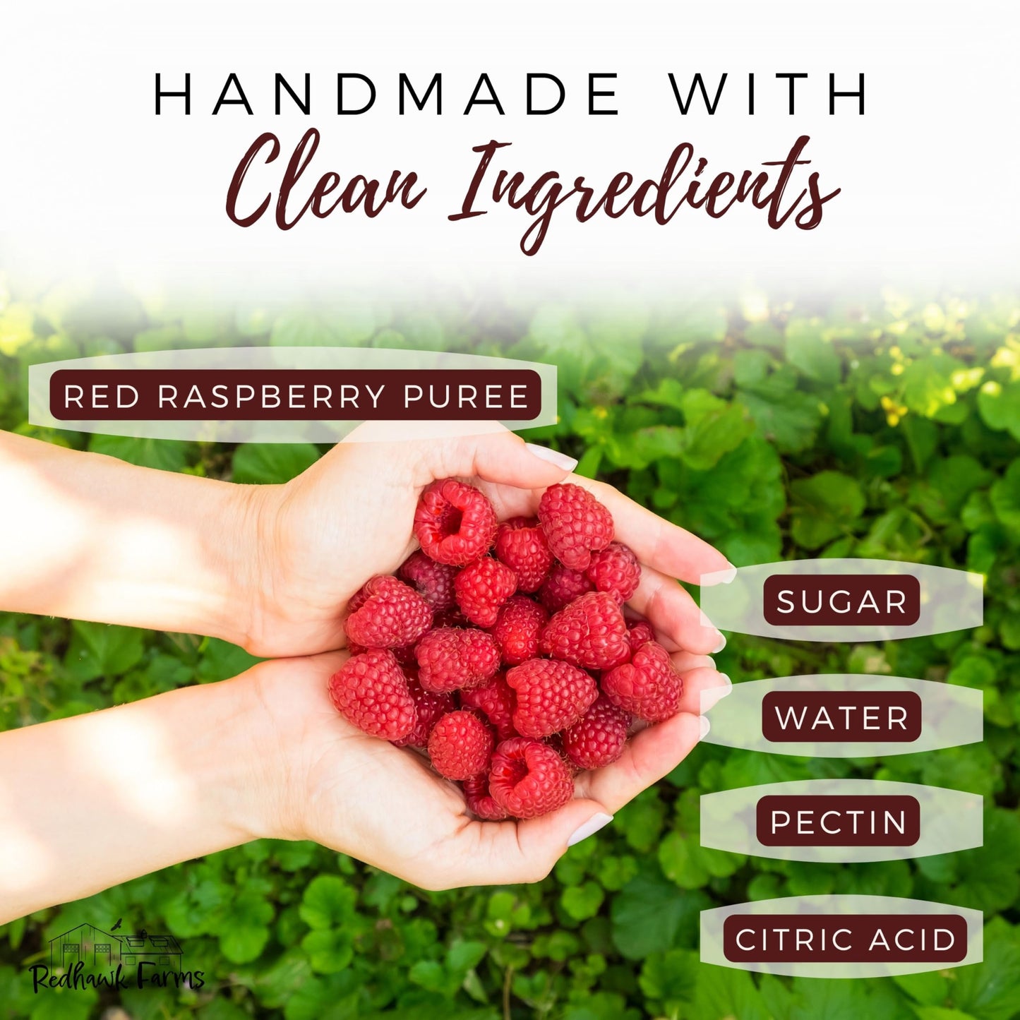 Redhawk Farms Seedless Red Raspberry Jam - All-Natural Raspberry Preserves With No Artificial Flavors Or Preservatives - Non-Gmo