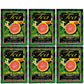 HAWAIIAN ISLANDS TEA COMPANY Guava Ginseng Green Tea, All Natural - 120 Teabags (6 Boxes)