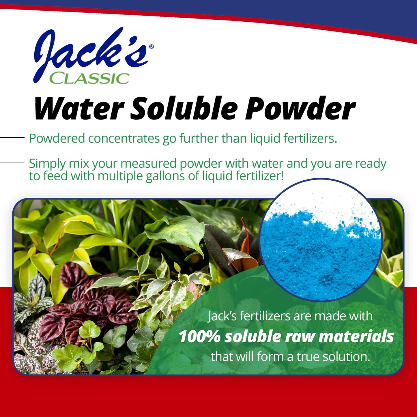 J R Peters Inc Jacks 51508 classic 15-30-15 Houseplant Special Fertilizer 8-Ounce (Pack of 2)