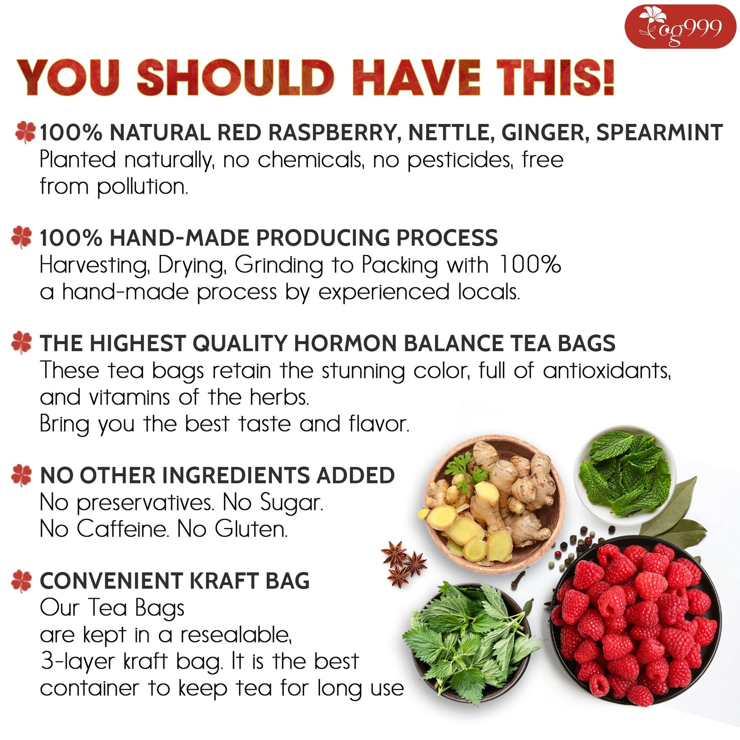 TOG999 Natural Tea Bags for Menstrual Cycle Support, 40 Bags, 100% Pure Red Raspberry Leaves, Spearmint Flavor, Vegan