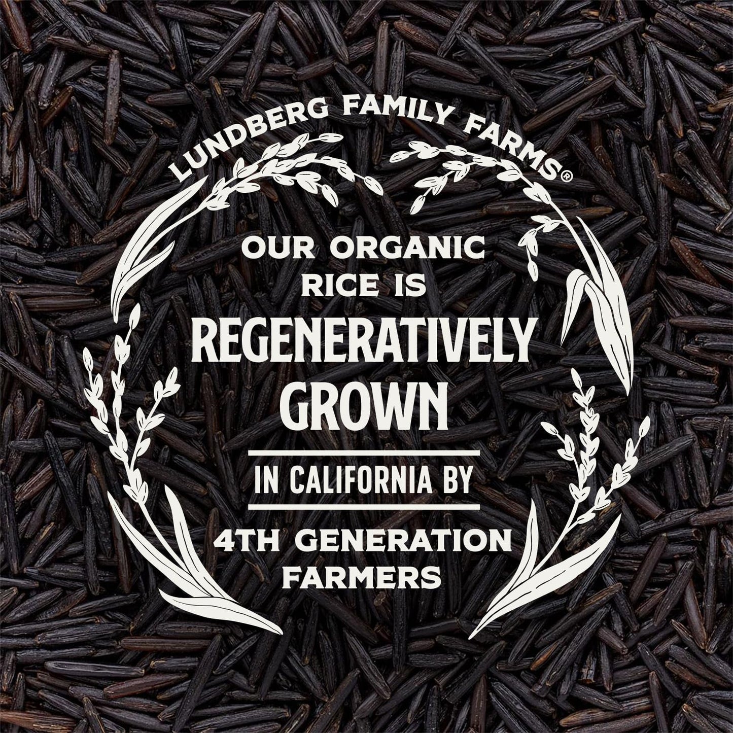 Lundberg Organic Wild Rice - 100% Natural California Cultivated Black Wild Rice for Healthy Meals, Vegan Food, Gluten-Free Rice,