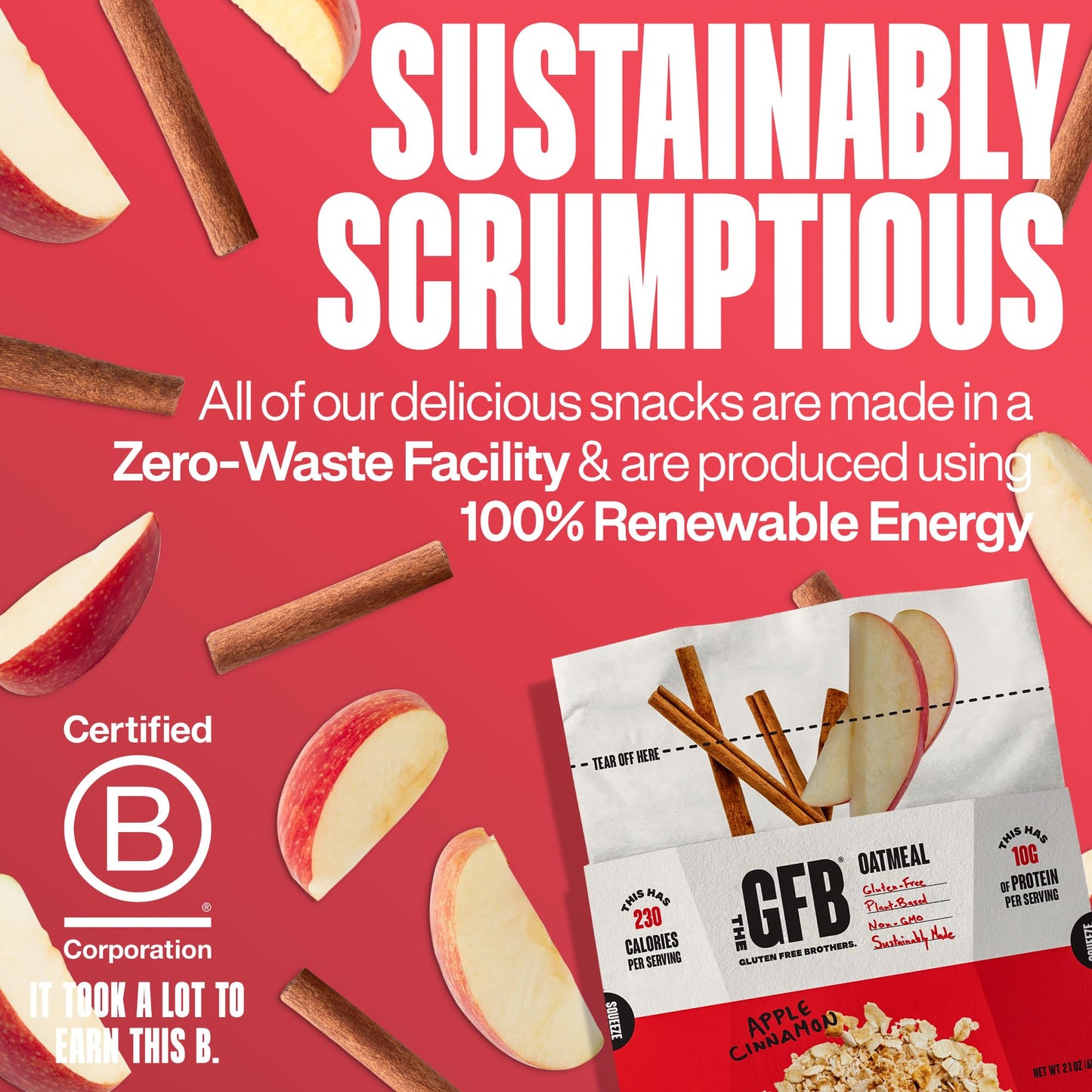 The Gluten Free Brothers Protein Oatmeal Cups - Gluten Free Apple Cinnamon Oatmeal Pouches - Instant Hot Breakfast Cereal In A P