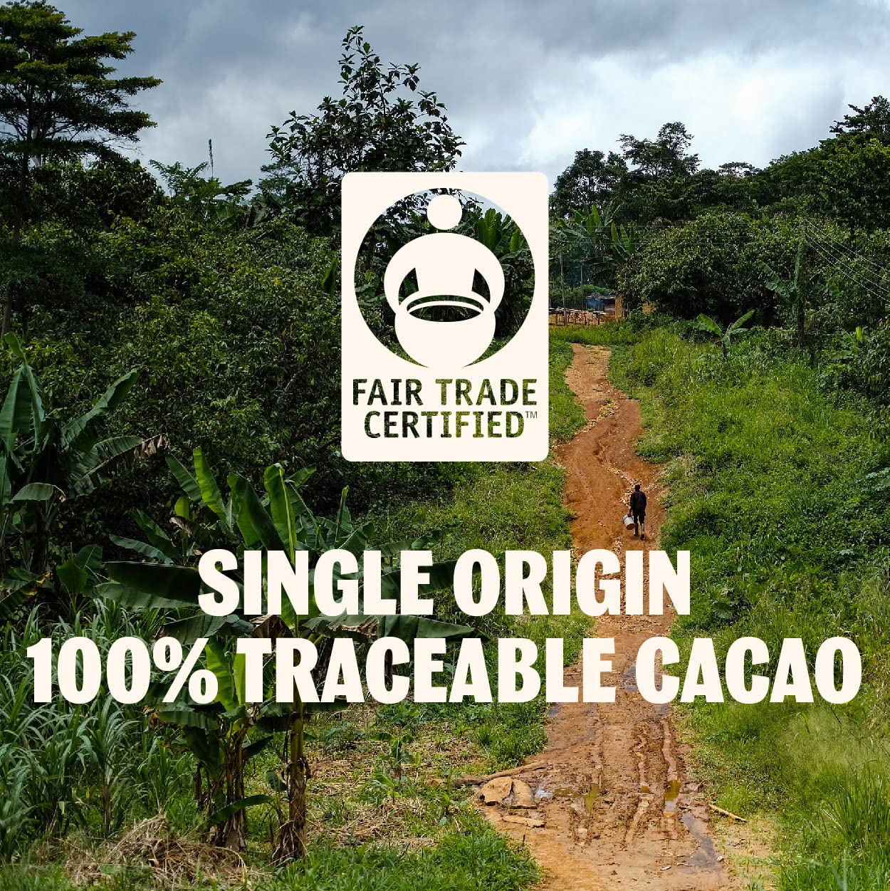 Tcho Holy Fudge 76% Dark Chocolate Bars (10 Pack) | Single Origin, Plant Based, Organic & Fair Trade, | Non Gmo, Non-Dairy, Vega