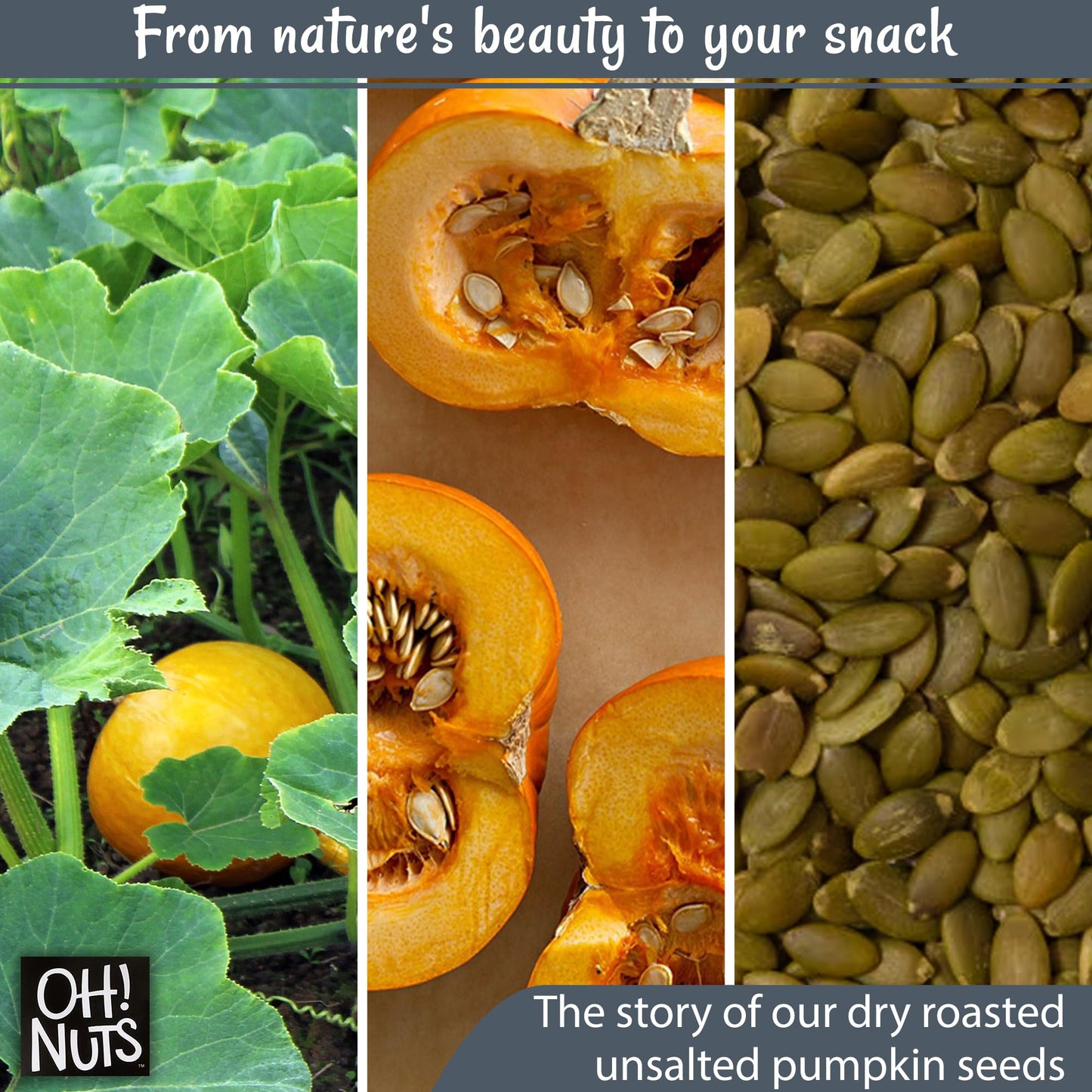Oh! Nuts Pumpkin Seeds, Dry Roasted Unsalted, 2 lb, All-Natural Protein, Pepitas, Zip-Seal Bag for Freshness