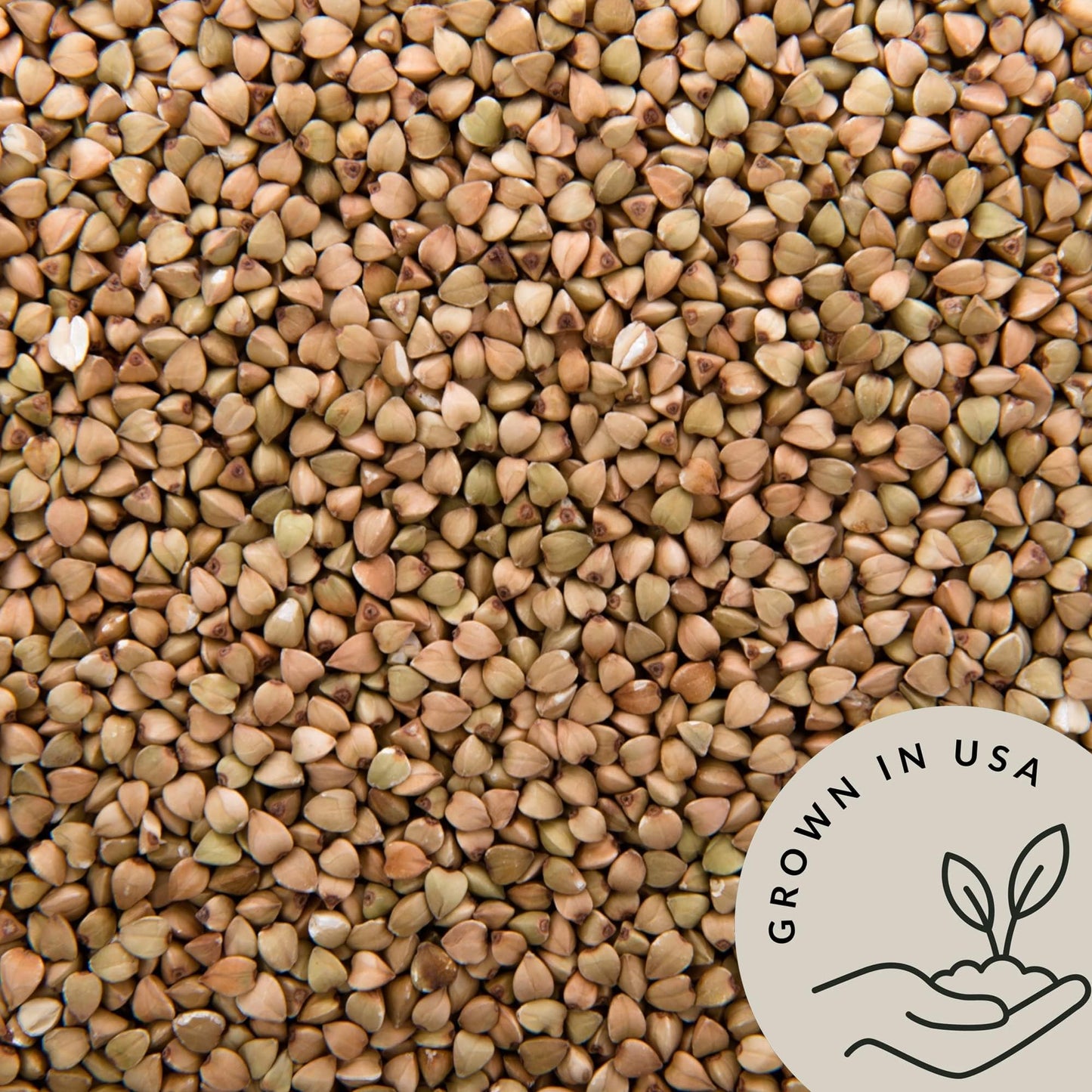 Organic Buckwheat Groats Bulk (2.8Lb) - Whole Raw Buckwheat Hulled By Be Still Farms - Great For Cereal, Salad, Side Dish - High