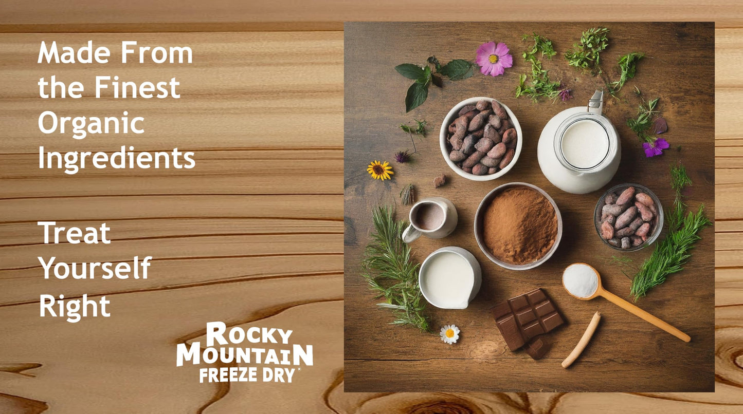 Rocky Mountain Freeze Dry Freeze Dried Chocolate Ice Cream Treat – 1 OZ
