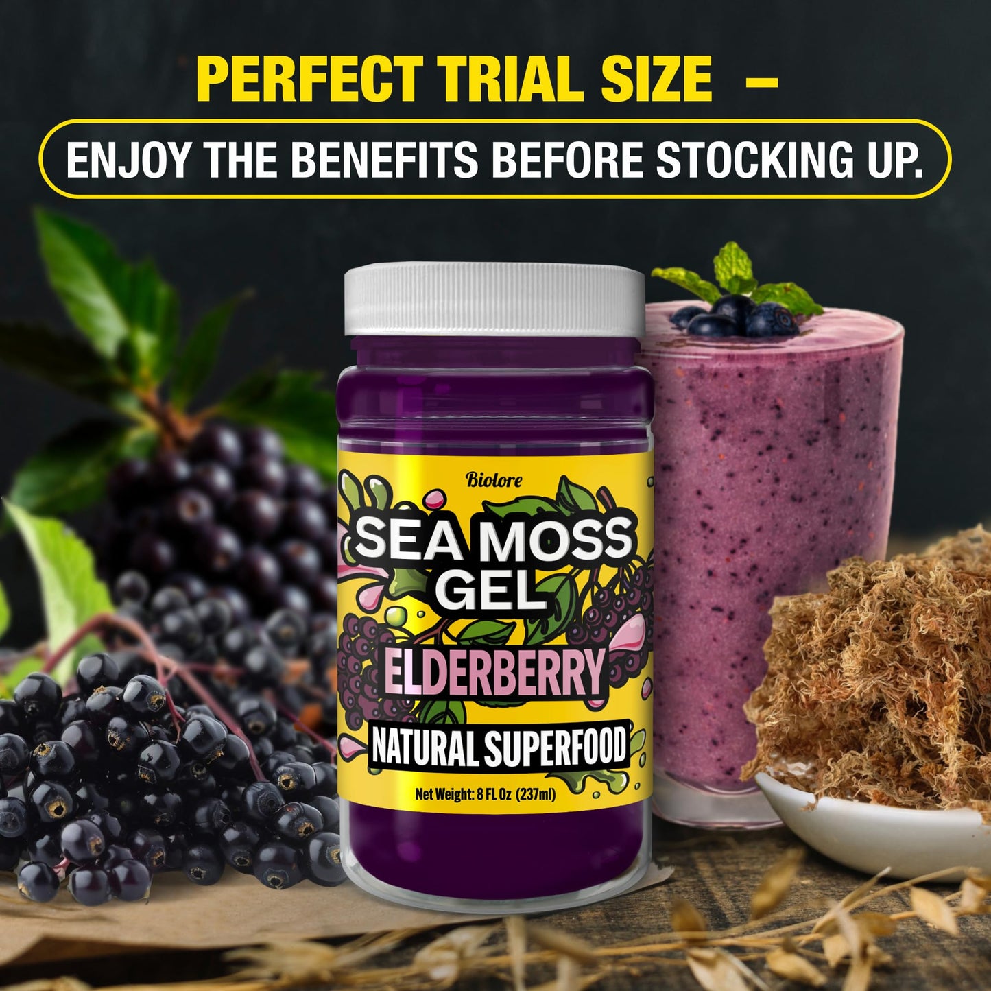 Biolore Sea Moss Gel Elderberry Made in USA Raw Wildcrafted Irish Seamoss Essential Vitamins Trace Minerals Vegan Superfood, Jam