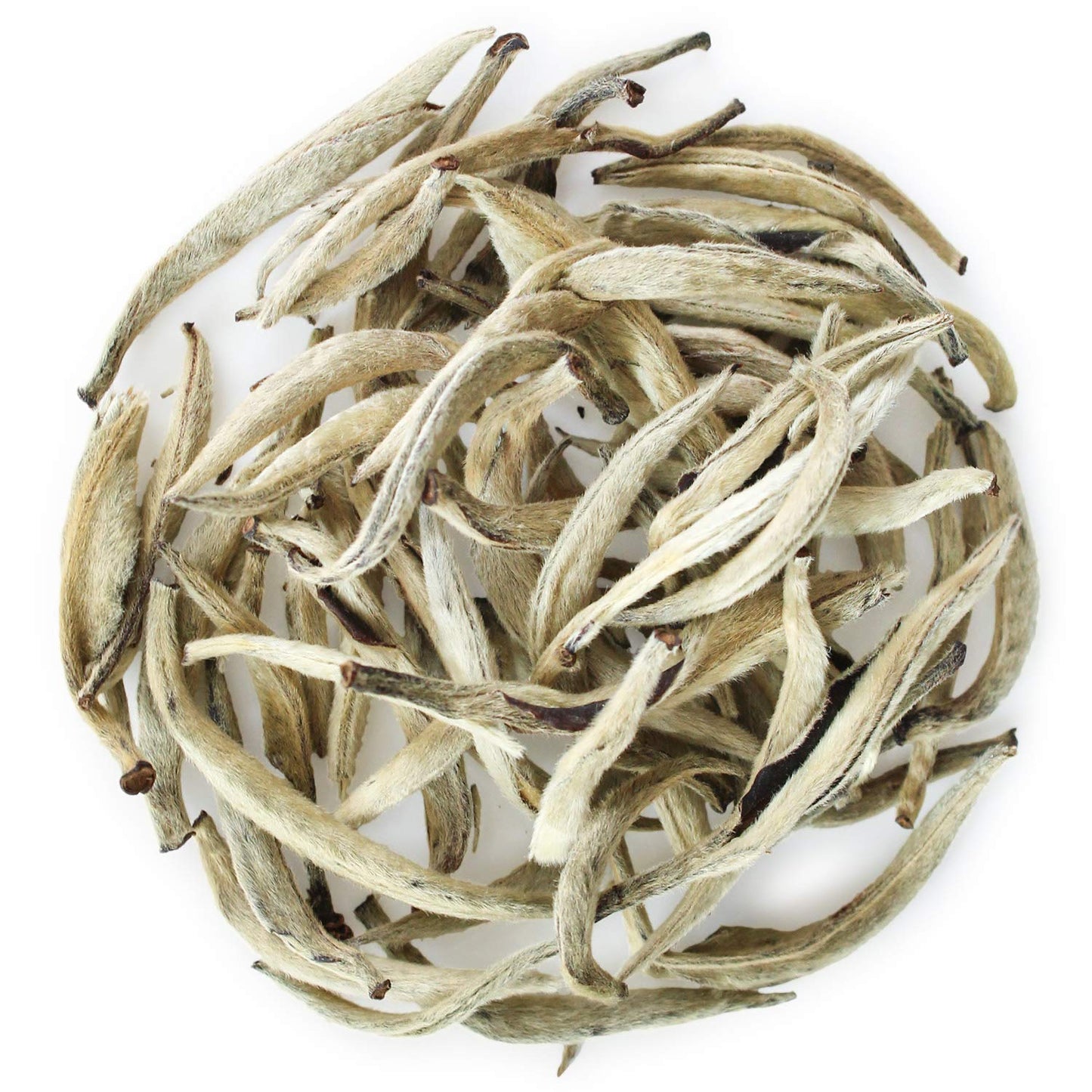 Teabloom Organic White Silver Needle Loose Leaf Tea, USDA Certified, 2.12 oz Canister, Delicate Honeysuckle Notes, Makes 35-50 Cups