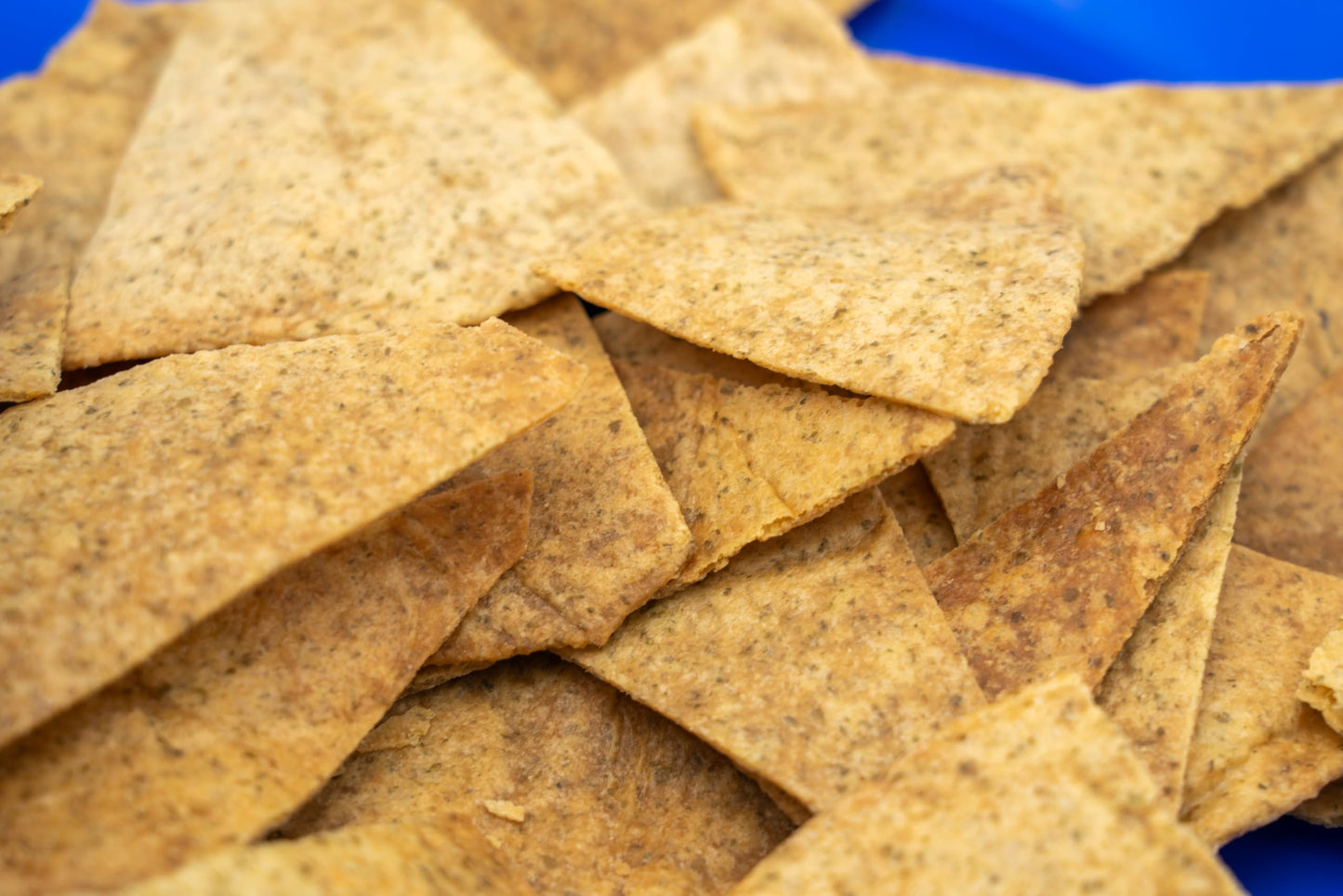 Savor Tooth Paleo Organic Pumpkin Seed Tortilla Chips, Gluten-Free, Low Carb, 4oz (6 Pack)