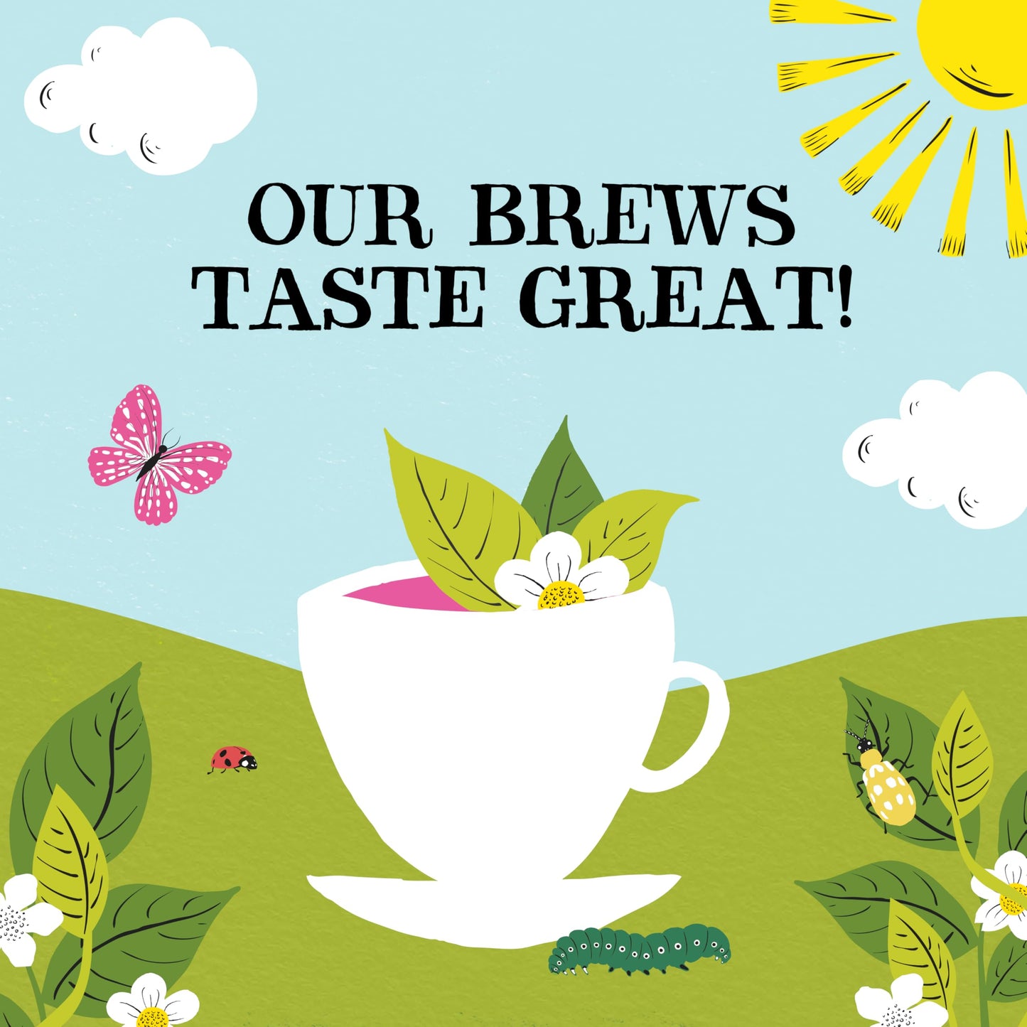 Clipper Tea Organic Herbal & Green Tea Selection/Sampler, Gift Box - Eco Friendly, Self Care, Fair Trade. Assorted Individually