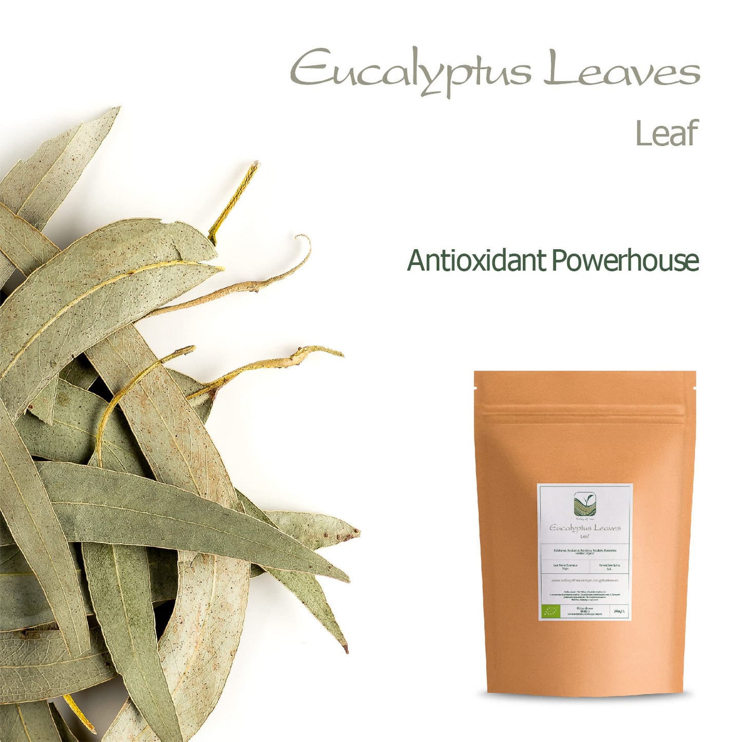 Valley of Tea Eucalyptus Organic Loose Tea Leaves - 100g (3.5 oz) - Herbal, Soft and Throat Coating