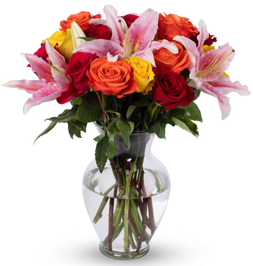 Benchmark Bouquets, Big Blooms, Glass Vase Included, Gift Fresh Flowers For Birthday, Anniversary, Get Well, Sympathy, Congratul