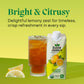 Saint James Iced Tea - Organic Black Tea - Non-GMO, Gluten Free, Zero Calorie, Zero Sugar - Classic Lemon, 12 Pack (16 fl oz eac