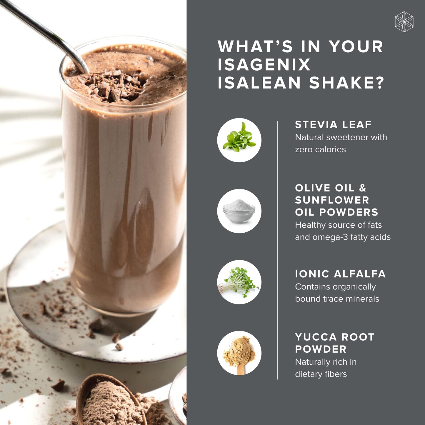 Isagenix IsaLean Protein Shake, Creamy Dutch Chocolate, 29.6 oz, 14 Meals, White