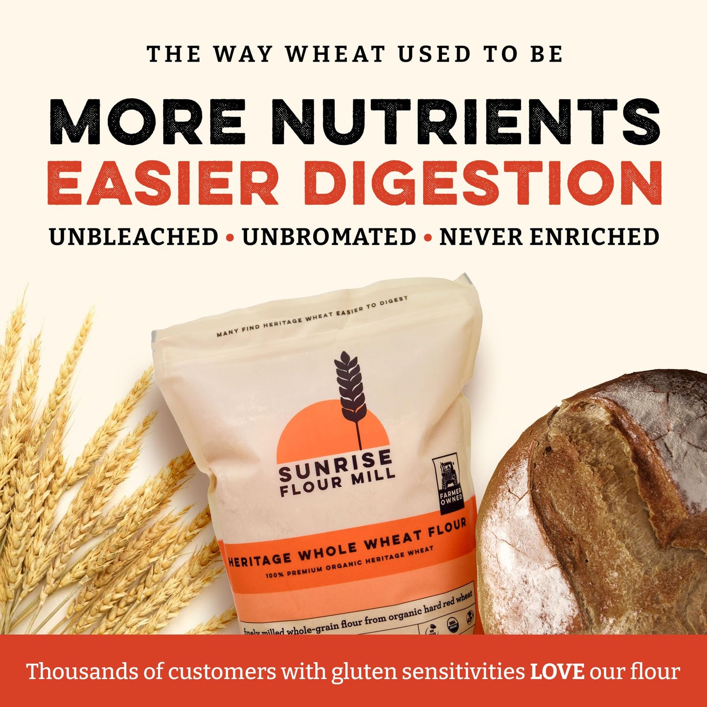 Sunrise Flour Mill Heritage Organic Whole Wheat Flour - 5 Lbs | Milled From Red Hard Wheat Within 10 Days | Easier To Digest Wit