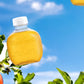 Martinellis Apple Juice Premium. 100% Pure Juice | 10 Fl Oz Pet Bottles | Pack Of 24