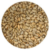 Sunflower Seeds Roasted and Salted  1 Pound Bag  Sunflower Seeds No Shell  16 Ounce Bulk Bag