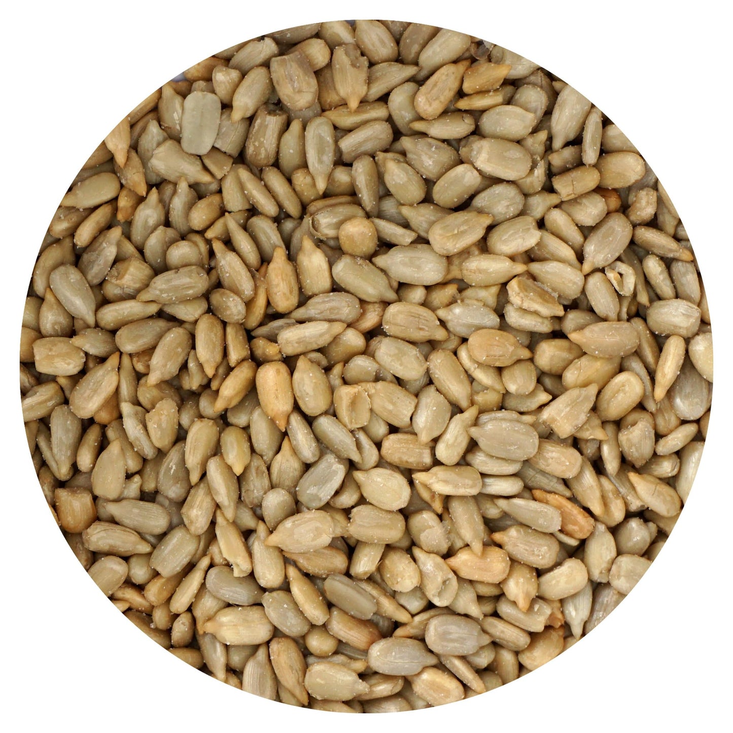 Sunflower Seeds Roasted and Salted  1 Pound Bag  Sunflower Seeds No Shell  16 Ounce Bulk Bag