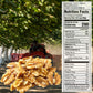Mariani Nut - Shelled Premium California Walnuts - Gluten Free, Kosher Certified - Stand Up Bag