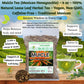 Muicle Herbal Tea (Mexican Honeysuckle) - 4 oz Loose Leaf - 100% Natural  Wildcrafted  Vegan  Non-GMO  Gluten-Free  Caffeine-Free - Authentic Mexican Herbal Infusion - by BexpertsUSA