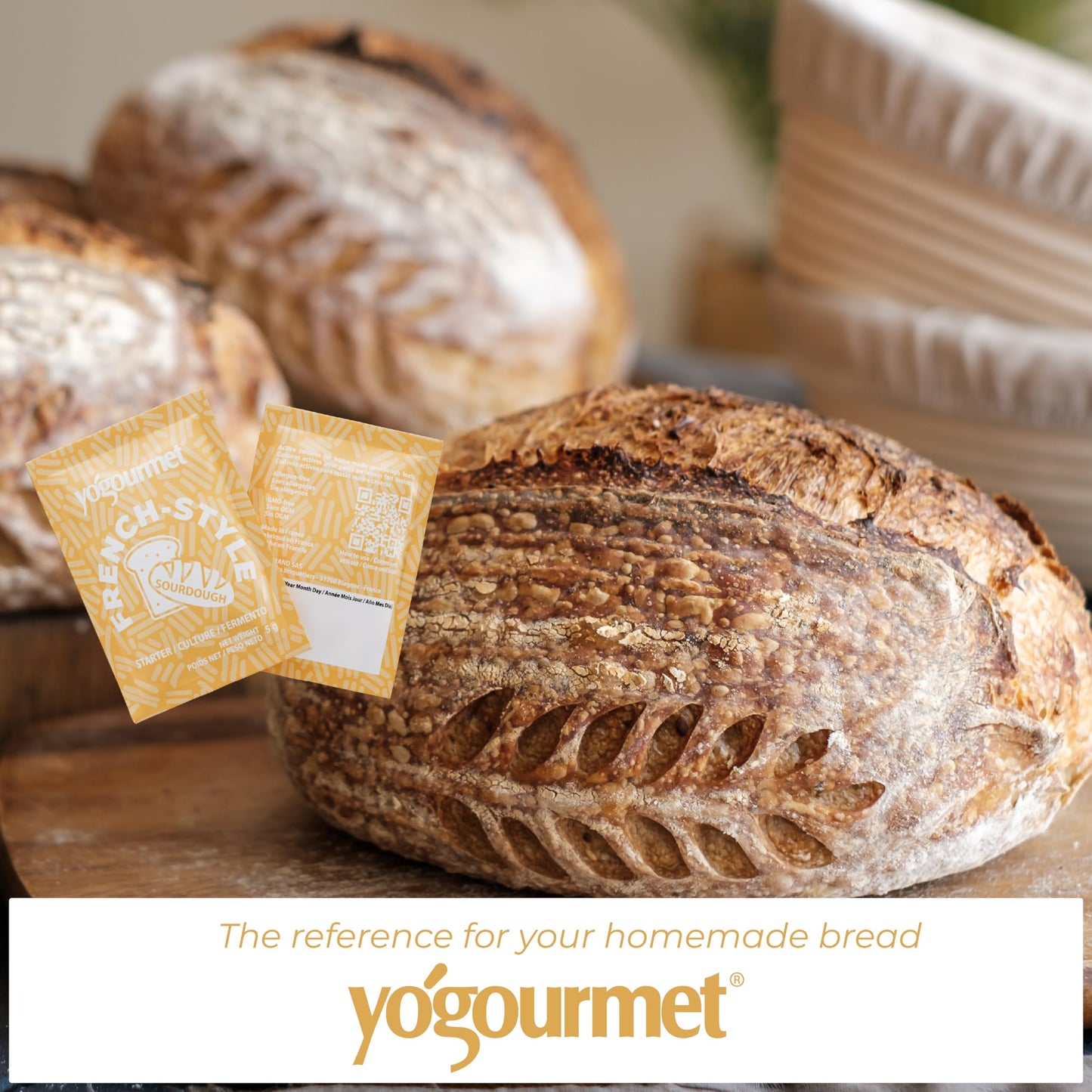 Yogourmet Sourdough Starter Culture - All Natural, Kosher - 5 g Sachet for 10 Loaves - French Style