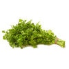 Organic Cilantro, 1 Bunch