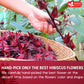 FRESHDRINKUS Hibiscus Flower Herbal Tea, 100% Natural, 22oz, No Additives, Caffeine-Free, Vegan, Model TS0417-B700ML-M982