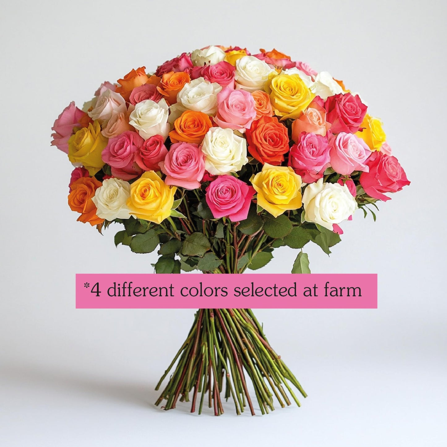 GlobalRose Fresh Cut Assorted Roses - 100 Roses (4 Bundles of 25) Fresh Bouquet for Birthday, Anniversary, Womens Day, or Home