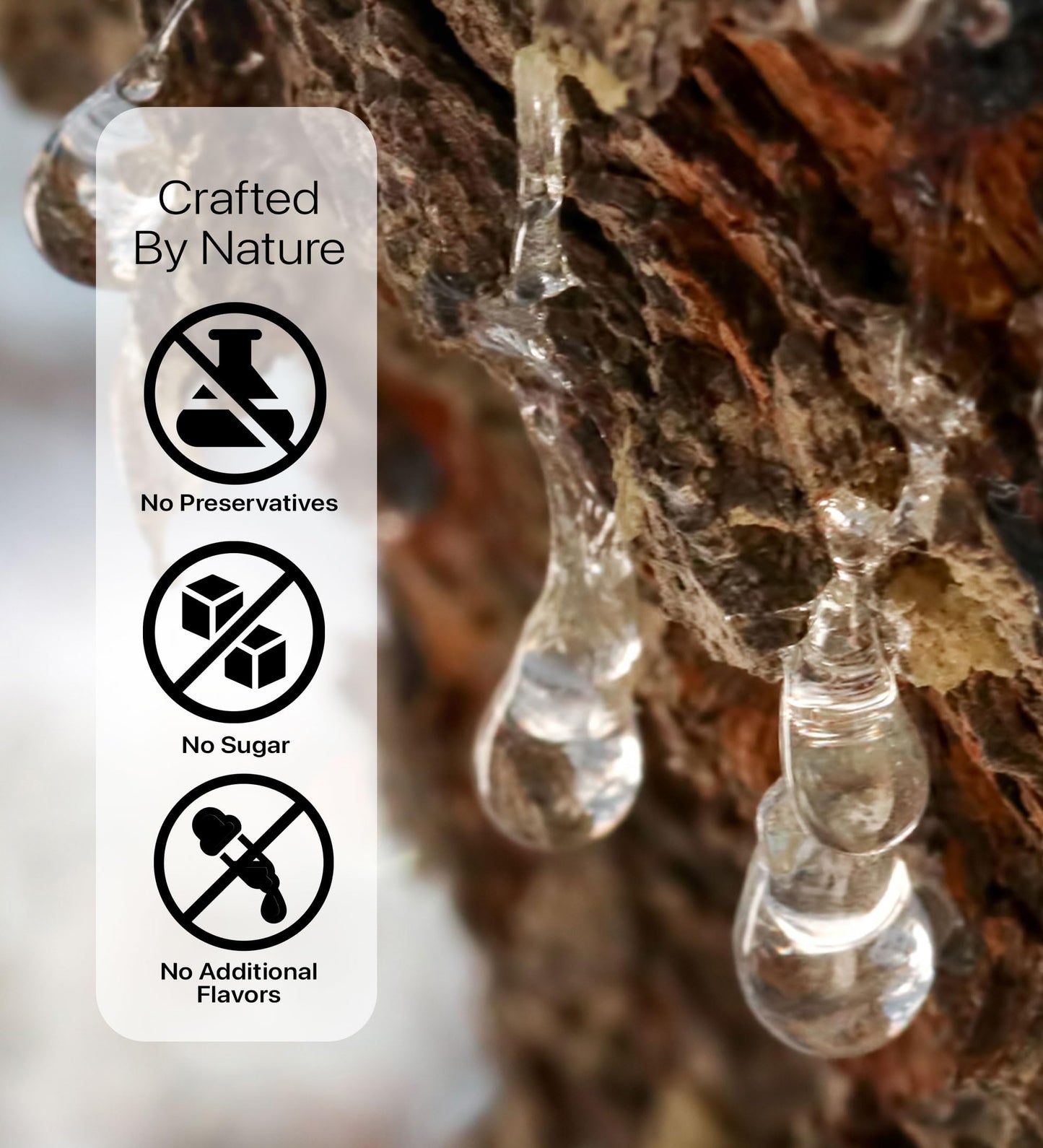 Cerez Pazari Natural Mastic Gum, Greek Chios Pure Resin, Sugarless Gum Made From Resin Of Mastiha Trees, Jaw Exerciser, Vegan, N
