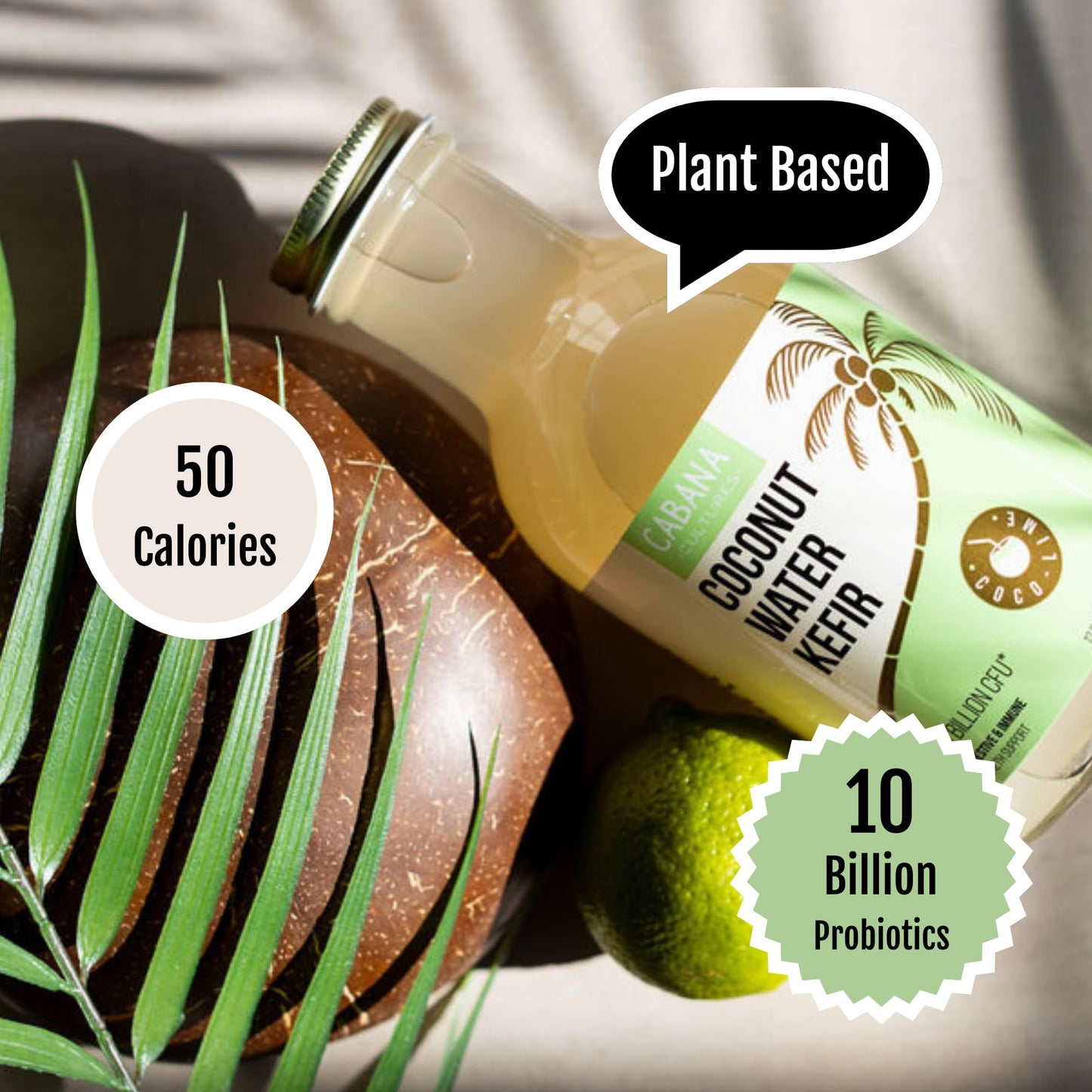 Cabana Cultures Probiotic Coconut Water Kefir, Vegan, Low Sugar, 12 Fl Oz (Pack of 12)