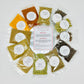Authentic Indian Spice 12 Spice Set: Assorted Spices, Herbs, And Seasonings