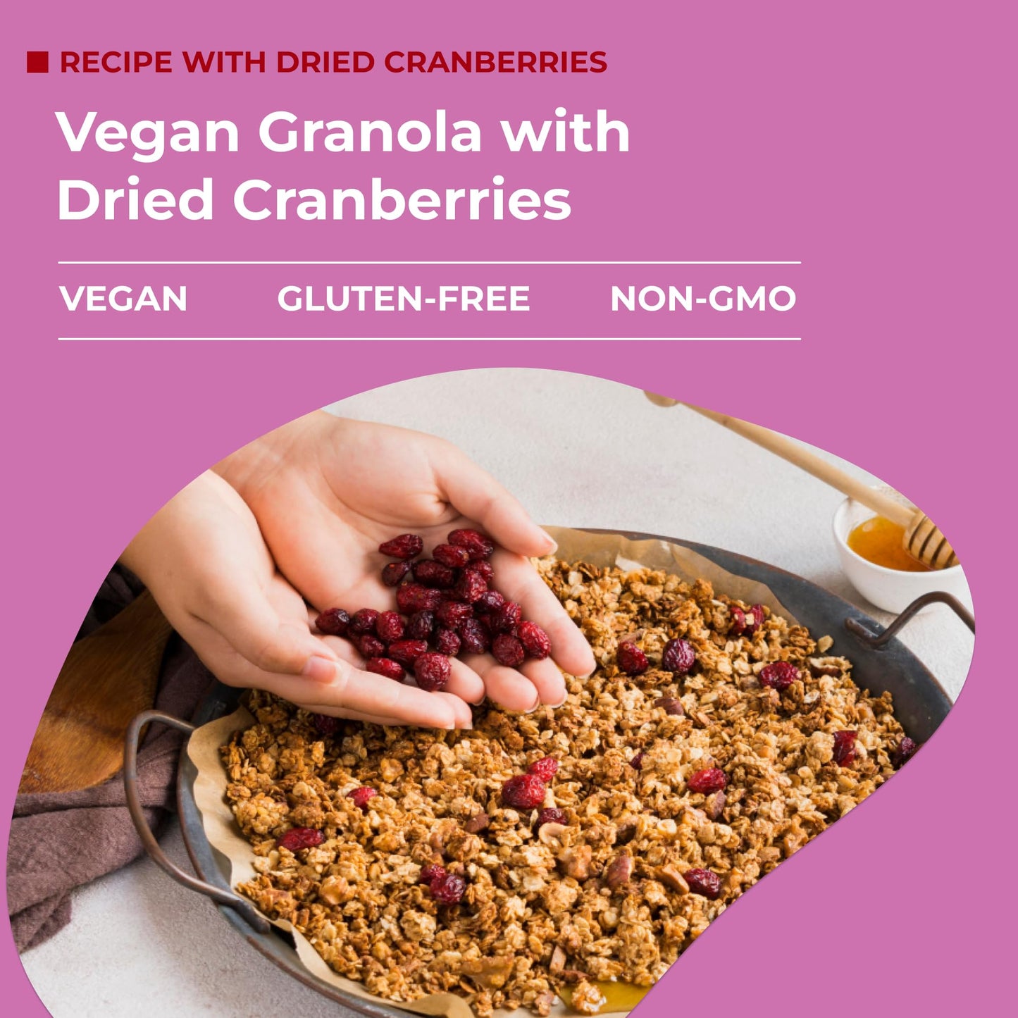 Amrita Dried Cranberries 1 lb | Sweetened with Apple Juice, Unsulfured, Gluten Free, non-GMO, No Preservatives | Packed Fresh in