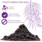 Slofoodgroup Freeze Dried Açaí Powder - Pure Acai Powder From Brazil (3 Oz. Açaí)