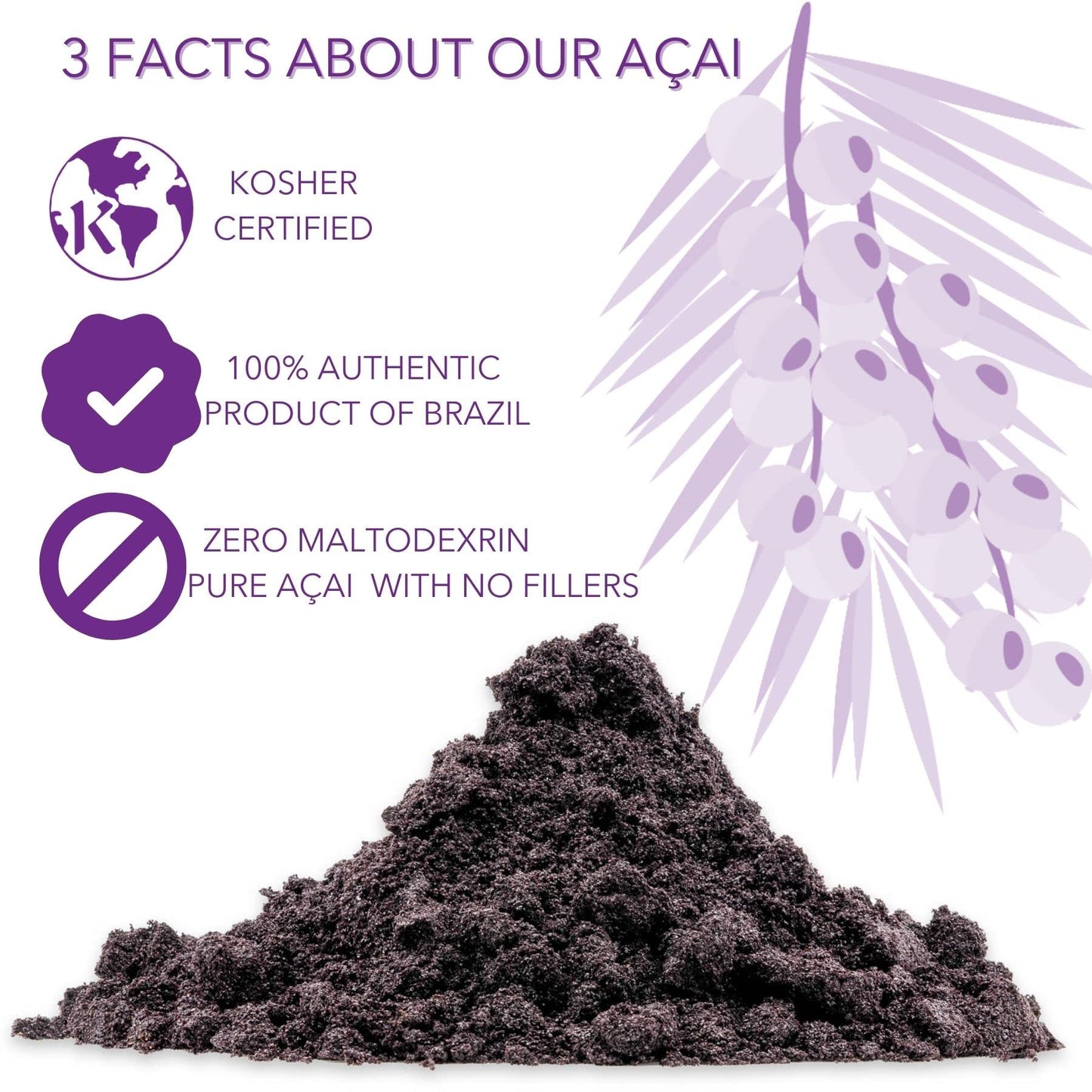 Slofoodgroup Freeze Dried Açaí Powder - Pure Acai Powder From Brazil (3 Oz. Açaí)