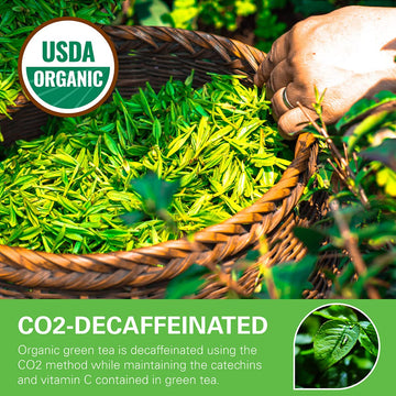 Wt Weetee Organic Decaf Green Tea Bags, Organic Green Tea 200 Count | Co2-Decaffeinated | Super Antioxidant | Resealable Kraft Bag