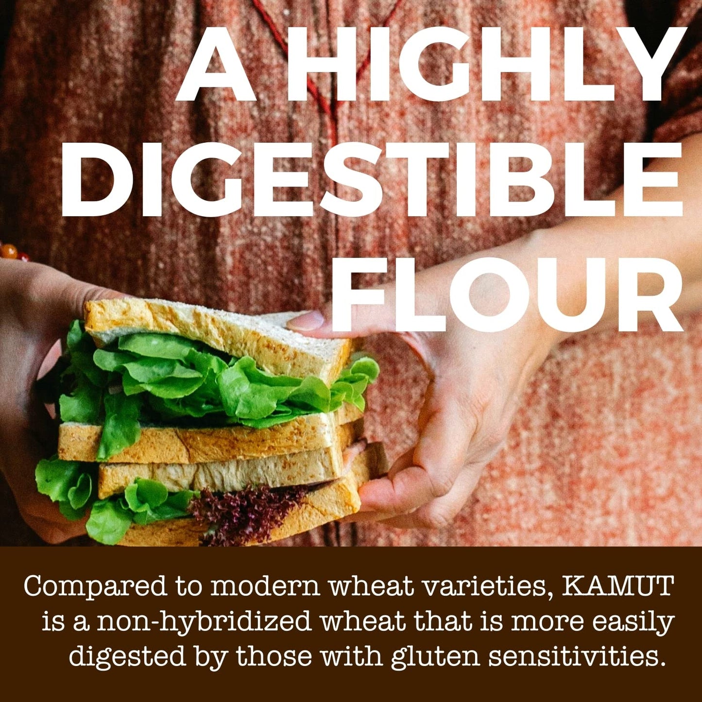 Kamut Flour (3 Lb) Whole Wheat Flour, Great For Whole Grain Bread And Baking, All-Natural, Usda Organic, Ou Kosher Certified, Mi