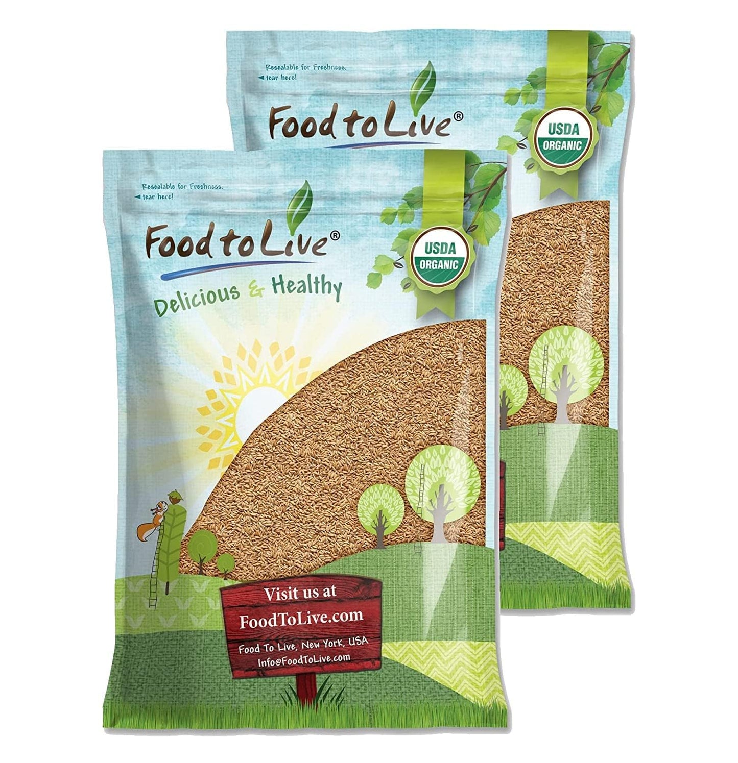 Food to Live Organic Oat Groats, 25 Pounds - 100% Whole Grain, Non-GMO Seeds, Kosher, Raw, Non-Irradiated, Vegan, Bulk, Low Glyc