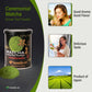 Maeda-En Ceremonial Matcha Green Tea Powder 28G Japanese Origin 100% For Latte Smoothies And Baking 18422 1Pk