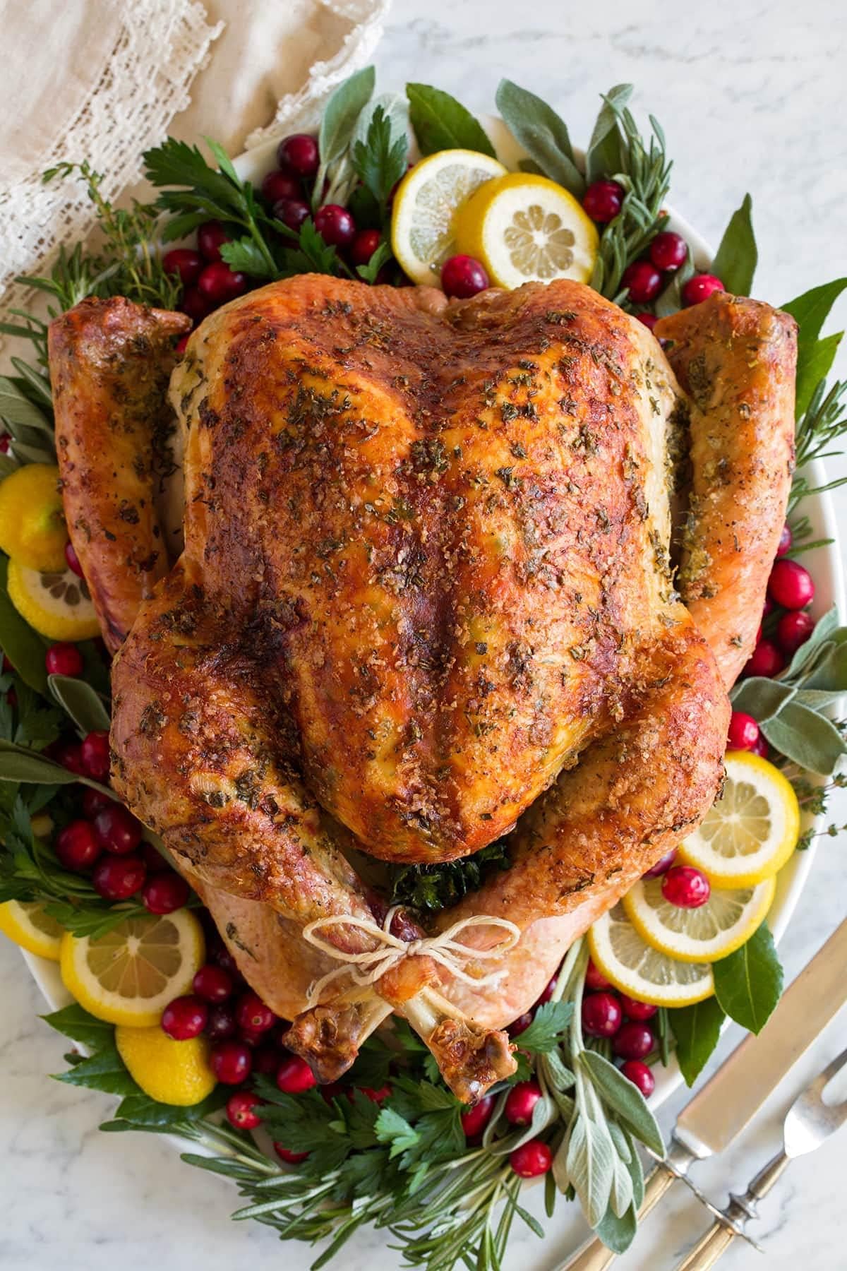 Madison Park Foods Gourmet Turkey Rub Herb Seasoning Dry Brine, Gluten Free, 2 Ounce Spice Tin, Pack of 2, Red