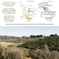 Entimio Cortese - Tuscany Medium Extra Virgin Olive Oil Organic, Italian Olive Oil From Italy, 2024 Gold Award Winner, 400+ Mg/K