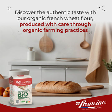 Francine Organic All-Purpose Wheat Flour - 2.2 lbs (Pack of 2) - French Gluten-Free Baking Essential
