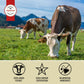 Aufschnitt Grass Fed Beef Jerky Sticks - Low Sodium, Certified Kosher - Made In Usa - Keto & Halal Friendly - 6 Pack, Original
