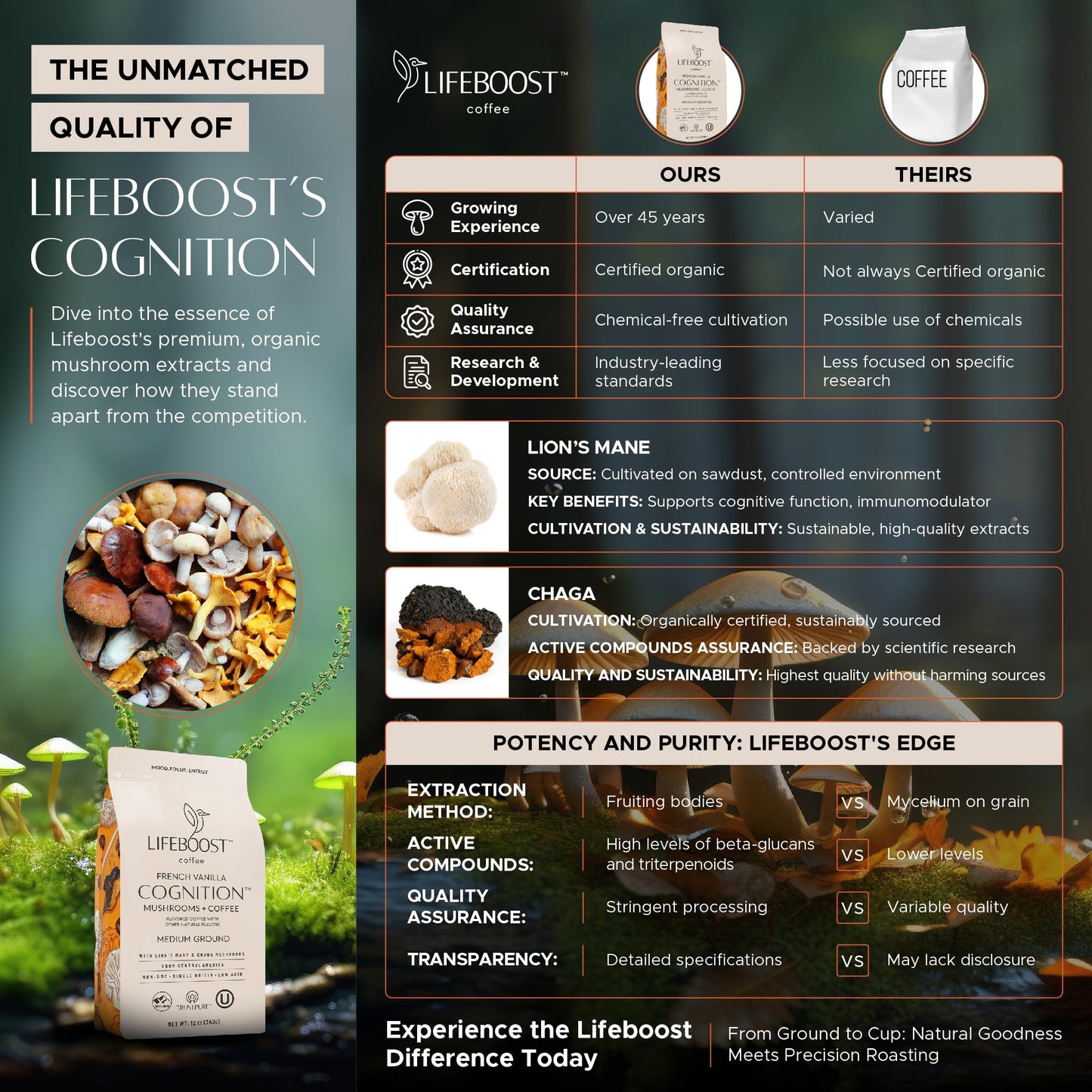 Lifeboost French Vanilla Cognition Mushroom Coffee - Low Acid Medium Organic Coffee With Nootropic Lions Mane & Chaga Mushrooms