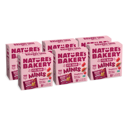 Natures Bakery Fig Bar Minis, Raspberry, Whole Grain, Vegan Friendly, Kosher, Non-GMO, 10 Ounce (Pack of 6)