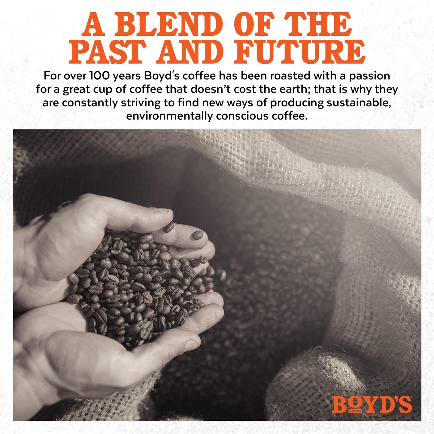 Boyds Coffee Ground Medium Roast Bag, Breaktime, 12 Ounce