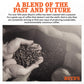 Boyd'S Good Morning Coffee - Medium Roast - Single Cup, 0.37 Oz (Pack Of 12)