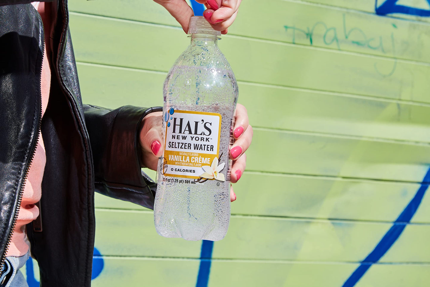 Hal's New York Seltzer Carbonated Vanilla Cream Flavored Sparkling Water, Zero Sugar, Zero Calorie, Zero Carbs, 20 Fl Oz (Pack o