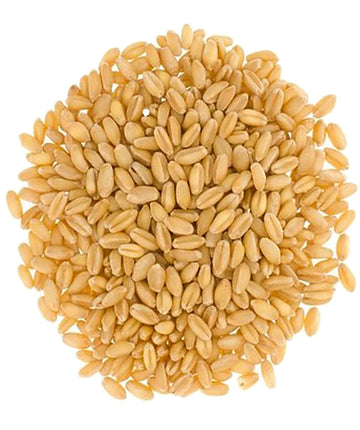 Mader Family Farmed Hard White Wheat Berries: Palouse Brand, Non-Gmo, Kosher, Bulk