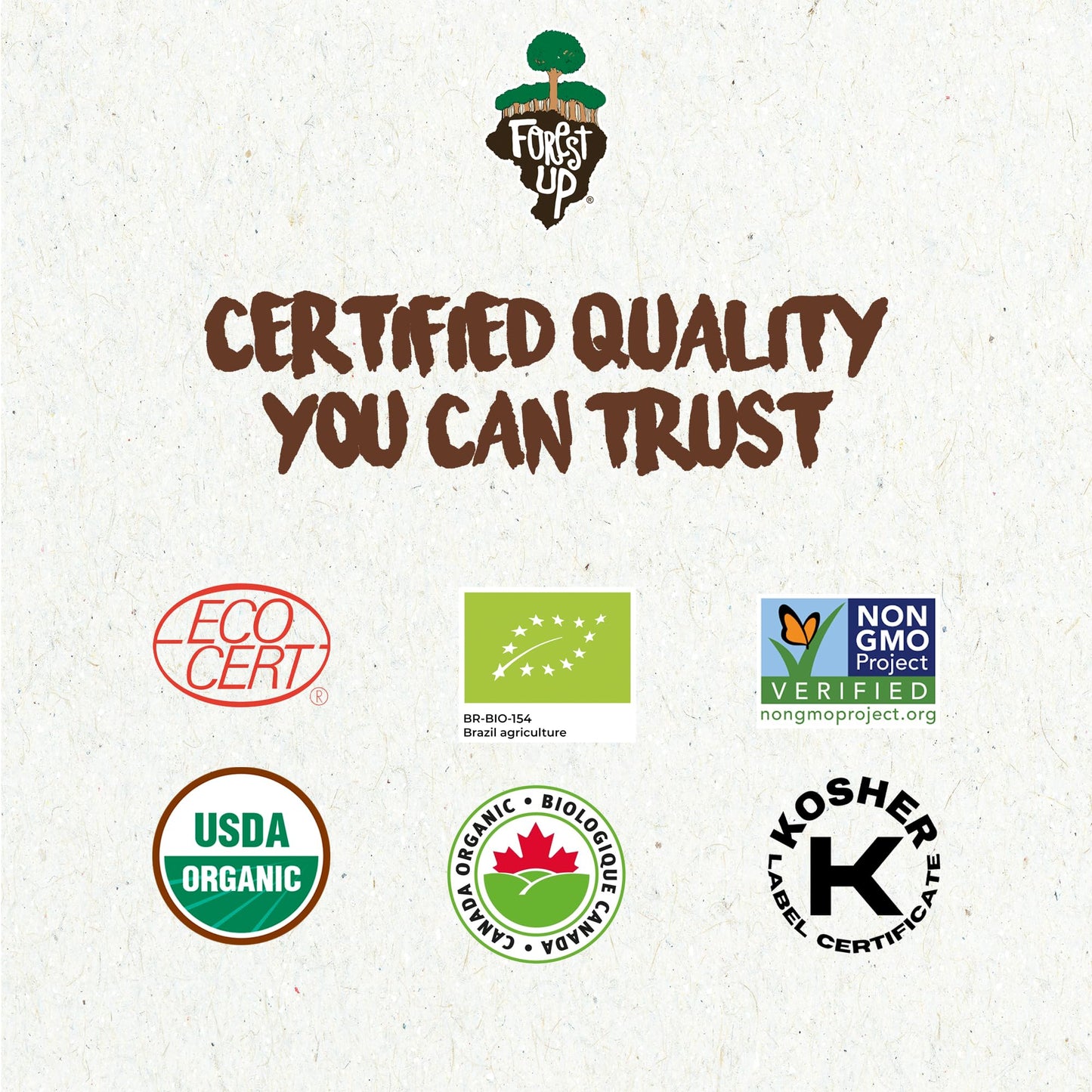 Floresta em P   The True Organic Premium Brazil Nuts (15oz) Raw & Unsalted | Kosher | Non-Gmo | Certified Organic | Fresh | Vega